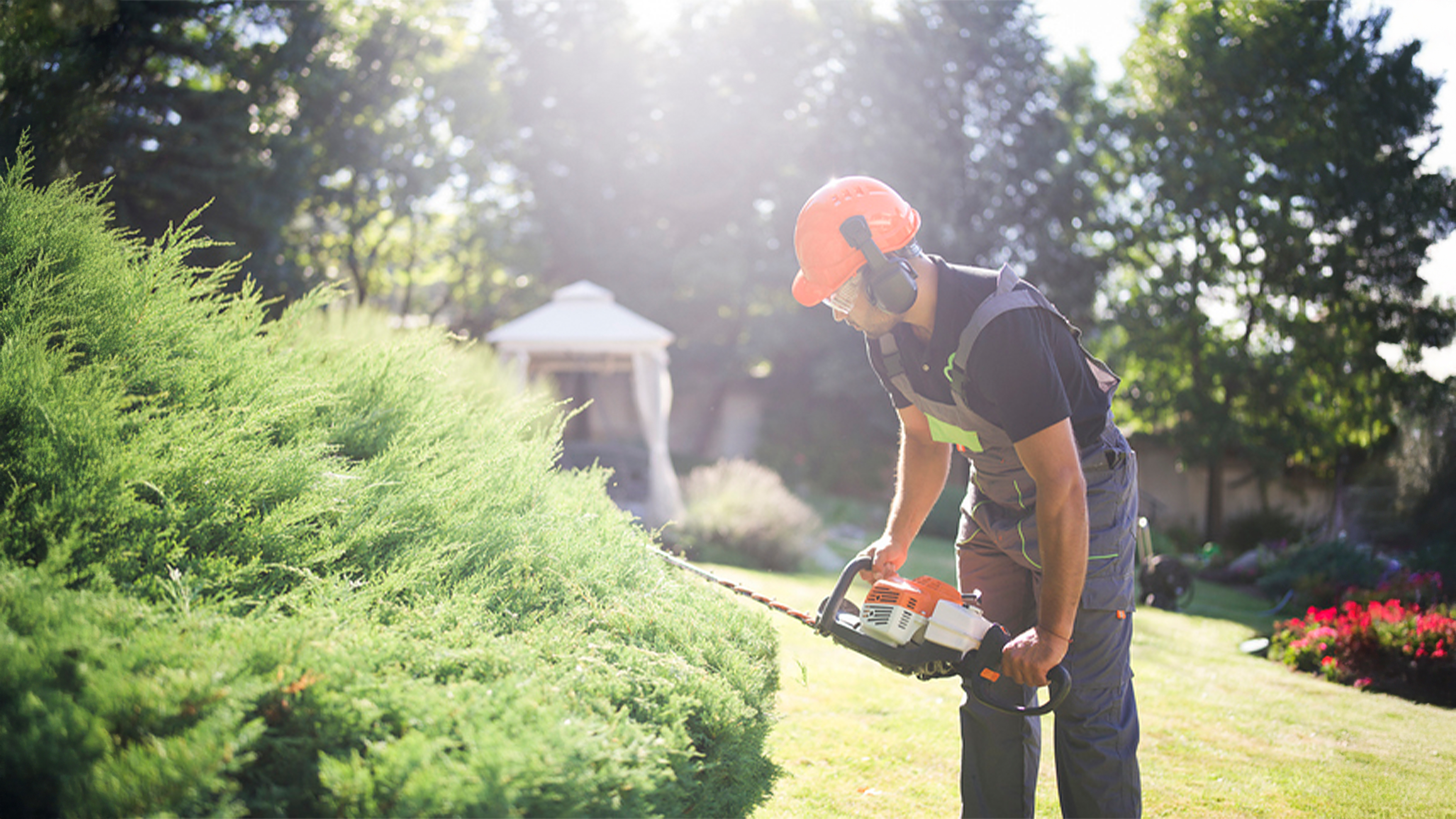 Gärtner bei der Gartenpflege – Hecke schneiden