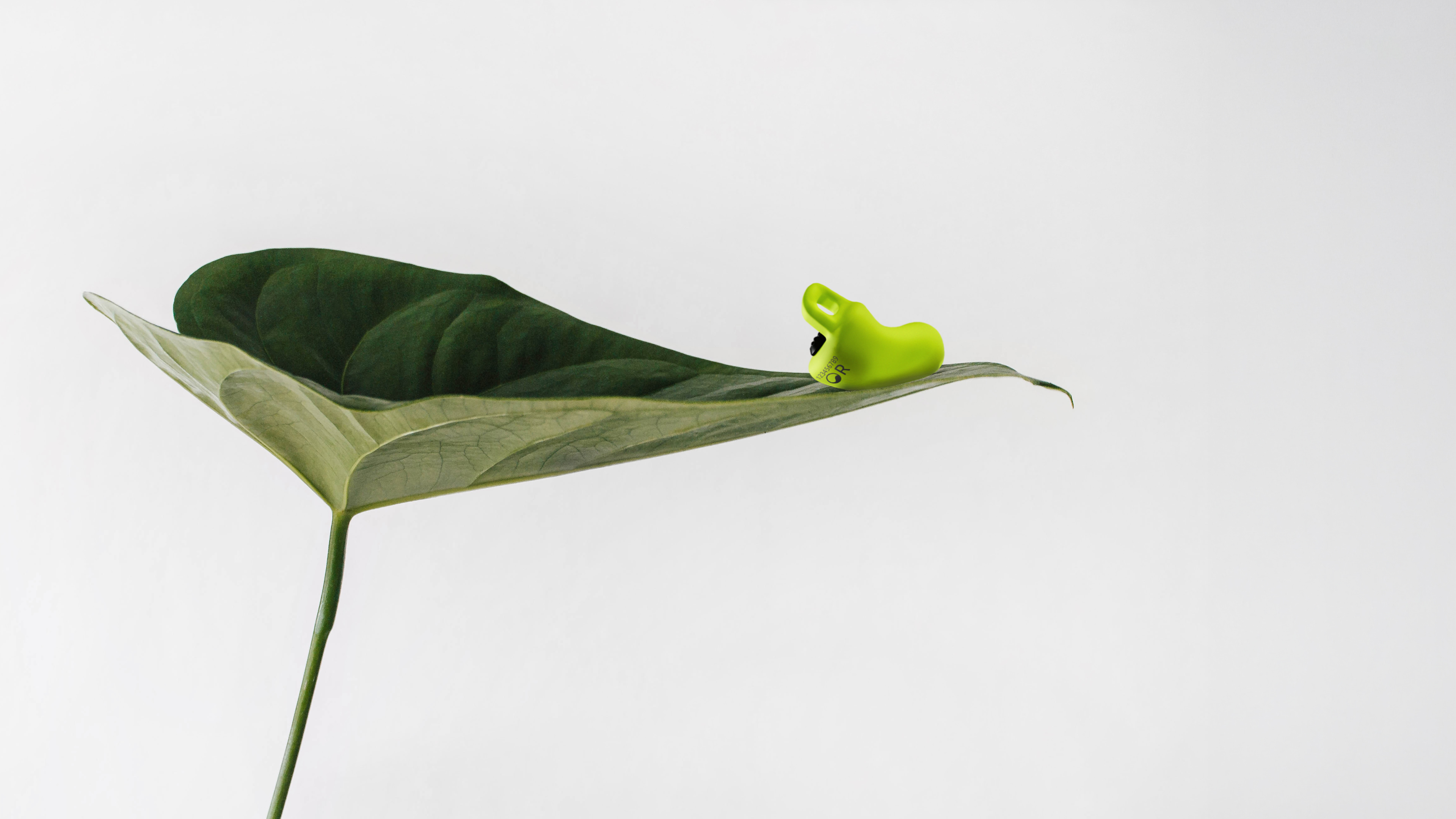 Ma&szlig;gefertigter, neongelber Geh&ouml;rschutz auf einem gr&uuml;nen Blatt &ndash; Symbol f&uuml;r pr&auml;ventiven L&auml;rmschutz bei M&auml;nning h&ouml;ren-sehen-erleben. Die individuelle Otoplastik, gefertigt mittels pr&auml;ziser 3D-Ohrscan-Technologie, bietet optimalen Tragekomfort und Schutz f&uuml;r Kinder und Erwachsene.