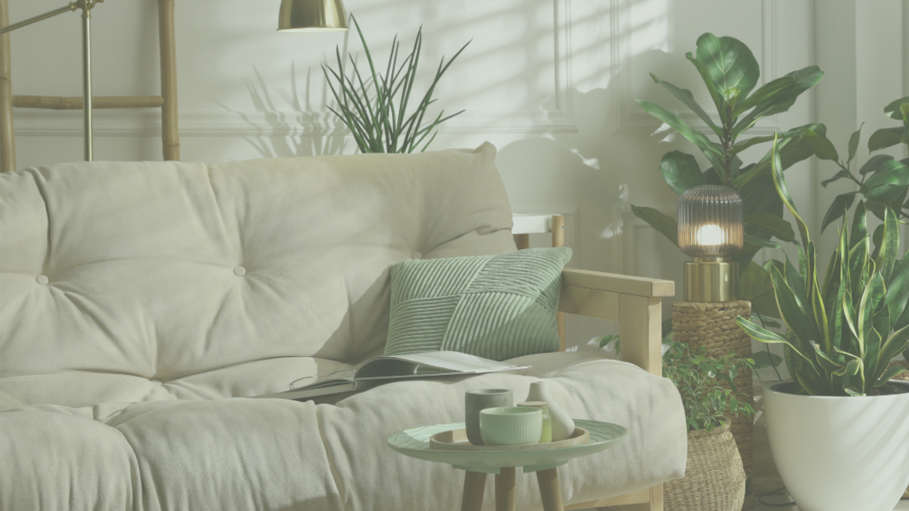 Raum1 - Imperial Feng Shui | BAZI | Human Design 