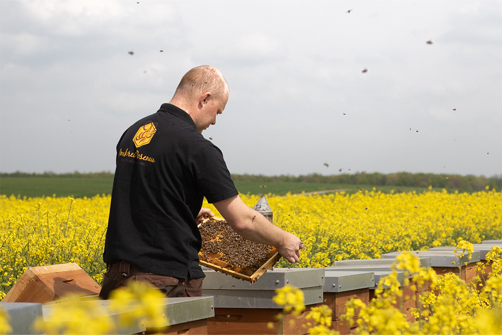 Mann mit Honigwabe in der Hand