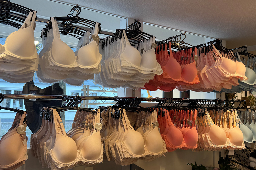 Gro&szlig;e Auswahl an hochwertigen BHs und Dessous im Fachgesch&auml;ft &ndash; verschiedene Farben und Passformen f&uuml;r optimalen Tragekomfort.