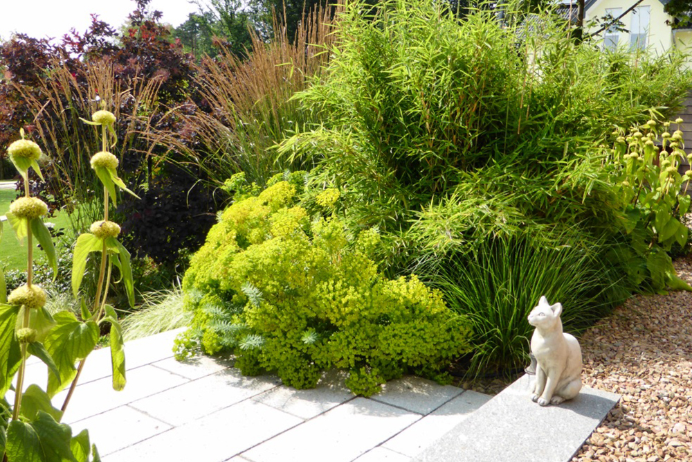 Gartengestaltung, Garten, Begr&uuml;nung, Pflanzen, Blumen, Wiese, Landschaftsbau