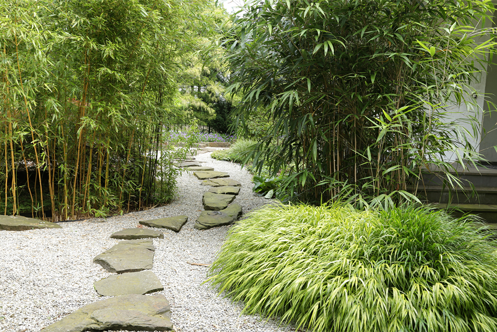 Gartengestaltung, Garten, Begr&uuml;nung, Pflanzen, Blumen, Wiese, Landschaftsbau