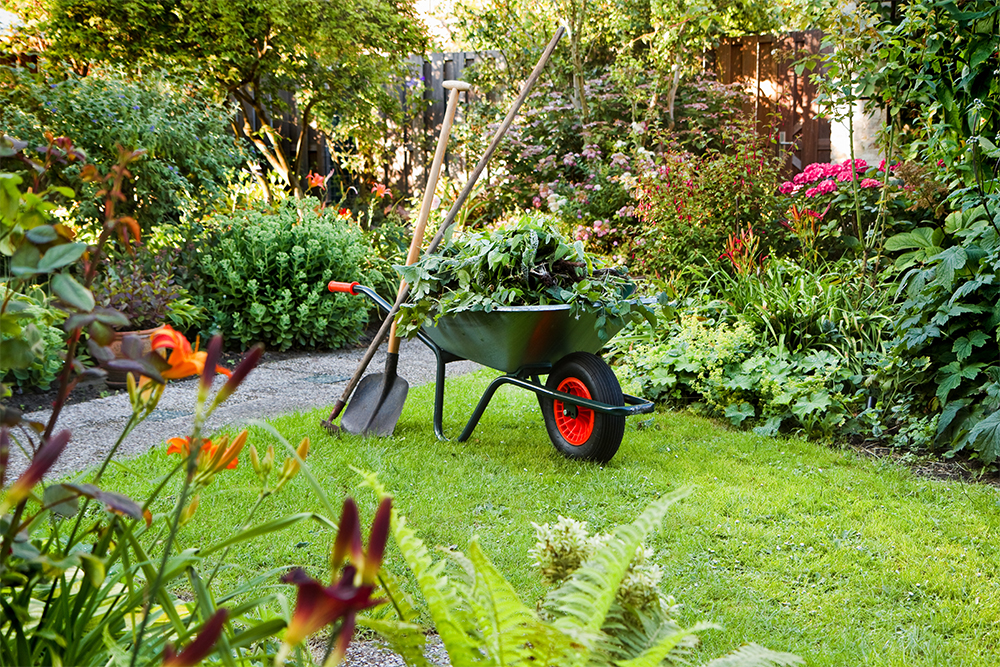 Garten, Gartenpflege, Natur, Gartenmanufaktur, Gartenarchitektur, Rasen, Bäume, Gartenglück