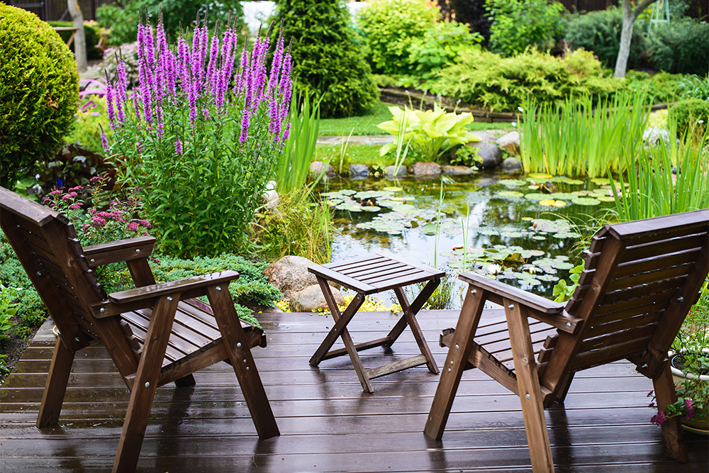 Garten, Gartenanlage, Pflanzen, Gartenmanufaktur, Gartengestaltung, Gartenidylle, Gartenpflege, Gartenkunst