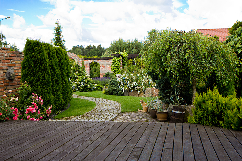 Garten, Gartenanlage, Pflanzen, Gartenmanufaktur, Gartengestaltung, Gartenidylle, Gartenpflege, Gartenkunst