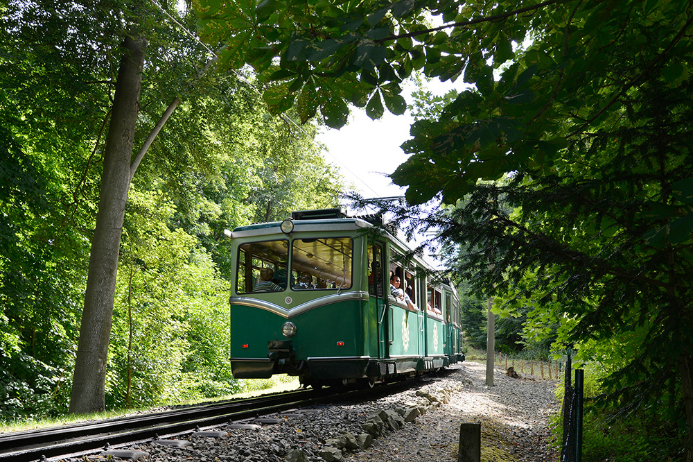 Stilpunkte-Blog: Diehistorische Drachenfelsbahn bringt Besucher hoch zuR Burgruine und zum Aussichtsplateau