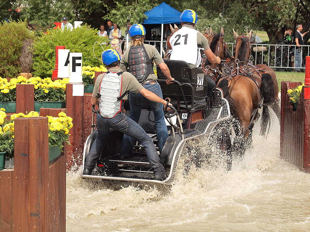 STILPUNKTE-Blog: Die Fahrprüfung mit Vierspännern ist eine der fünf Disziplinen des CHIO Aachen 2019