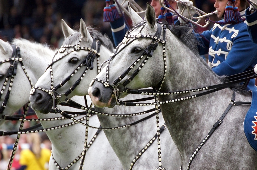 STILPUNKTE-Blog: CHIO Aachen 2019