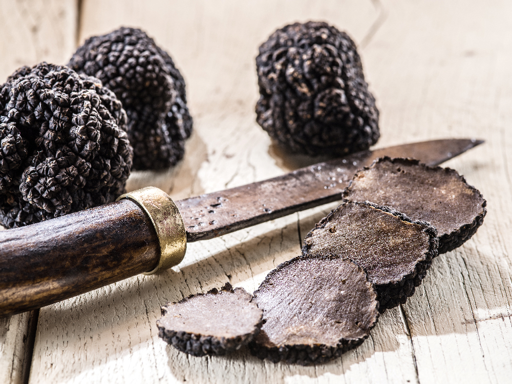 Trüffel, Weißes Gold, Schwarze Diamten, Stilpunkte, Stilpunkte Blog, Genuss, Luxus, Naturprodukt, Frankreich, Italien,