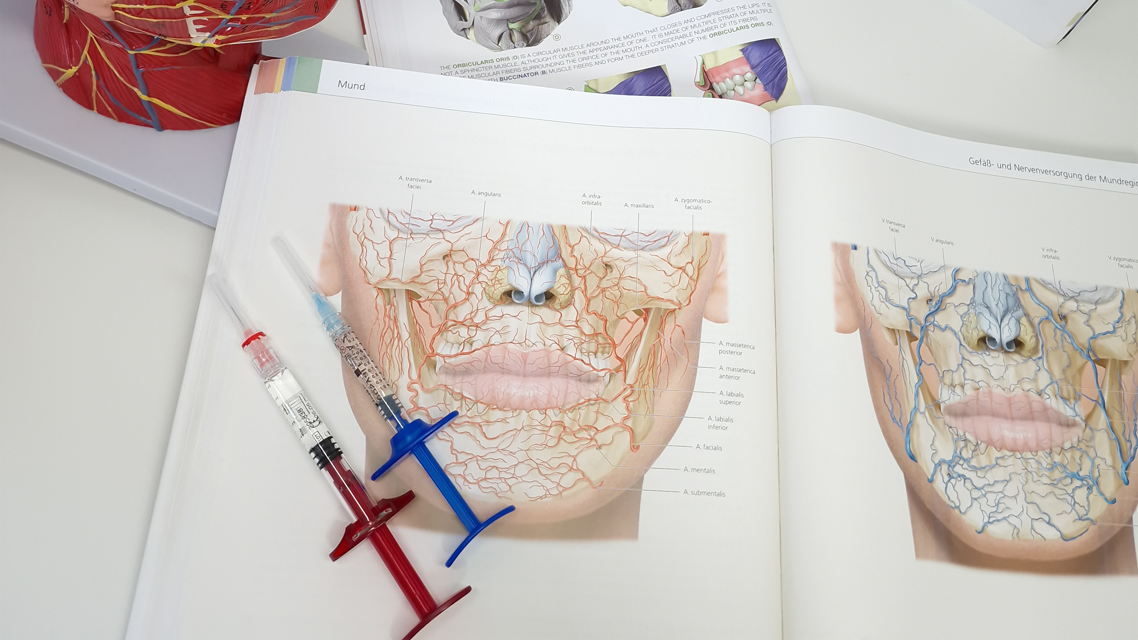 Praxis, Schönheitspraxis, Hautpflege, Gesichtsbehandlungen, Mesotherapien, Hyaluronsäure-Unterspritzungen, Medizinprodukte, Lippenunterspritzung, Hautverjüngung, strahlendes Aussehen