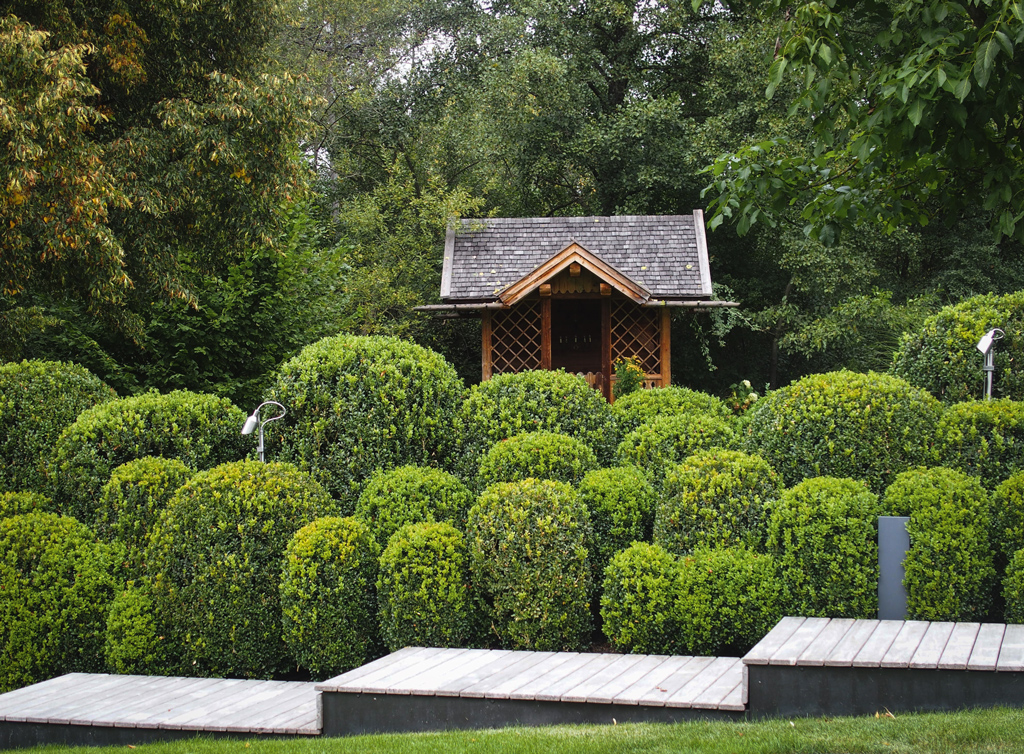 Stilpunkte-Blog: Modernes Gartendesign mit Buchsbäumen und Stufen mit Teakholzbeplankung, Foto: Jensen Landschaftsarchitekten